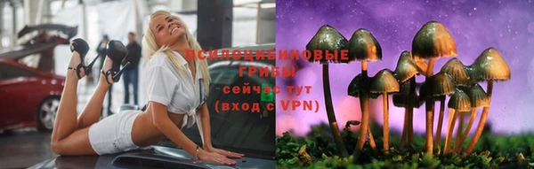 соль ск Михайловск
