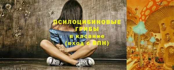 соль ск Михайловск