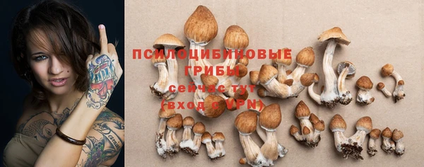 сатива Надым